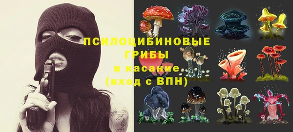 ГАЛЛЮЦИНОГЕННЫЕ ГРИБЫ Абинск