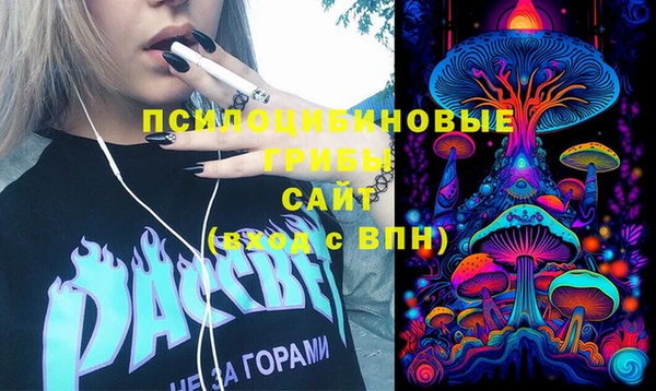индика Алзамай